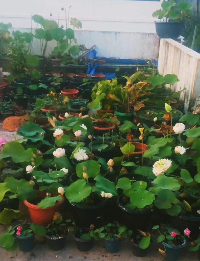Raelyn'S Homestay Kochi Екстер'єр фото