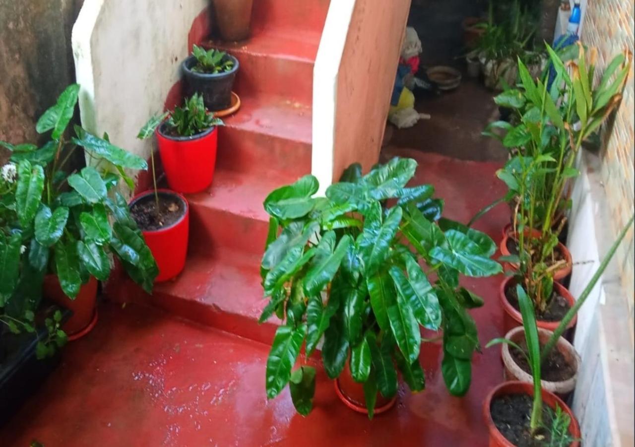 Raelyn'S Homestay Kochi Екстер'єр фото